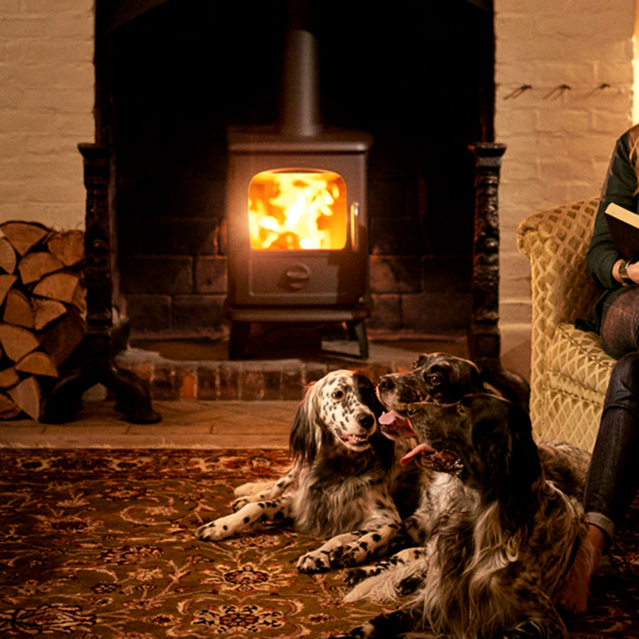 Morsø 3112 B cast-iron wood stove burning brightly on a stone hearth in a dark timber room, two spaniels lying on the floor in front of it