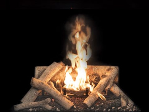 Town & Country Birchwood burner: pale white-barked birch logs with a soft flame over an ember bed